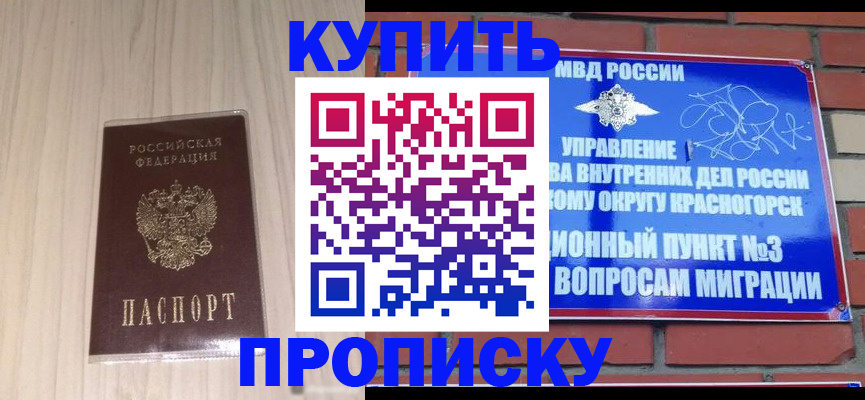 временная регистрация для всех в Зее